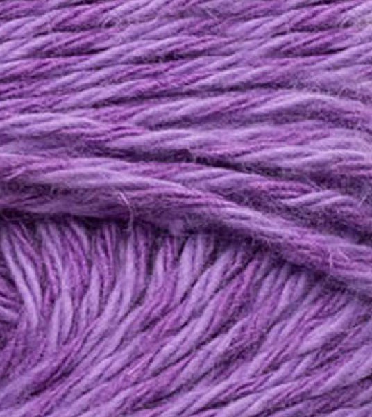 Allino Lilac