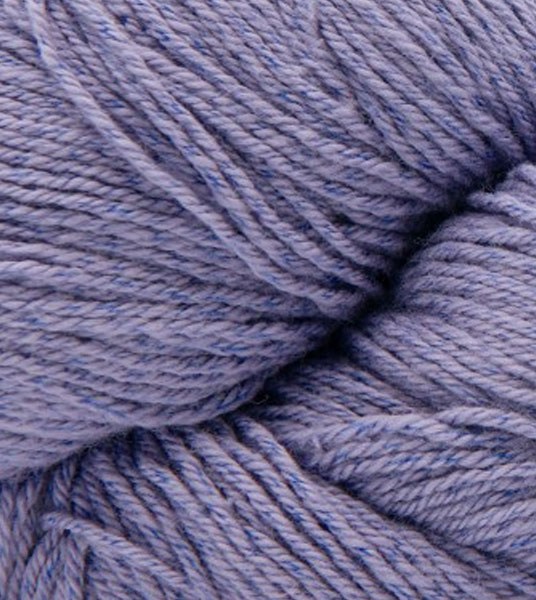 Aster-Purple-Q0608-23-thumb