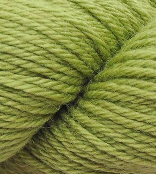 Q220-1051-Fern-thumb