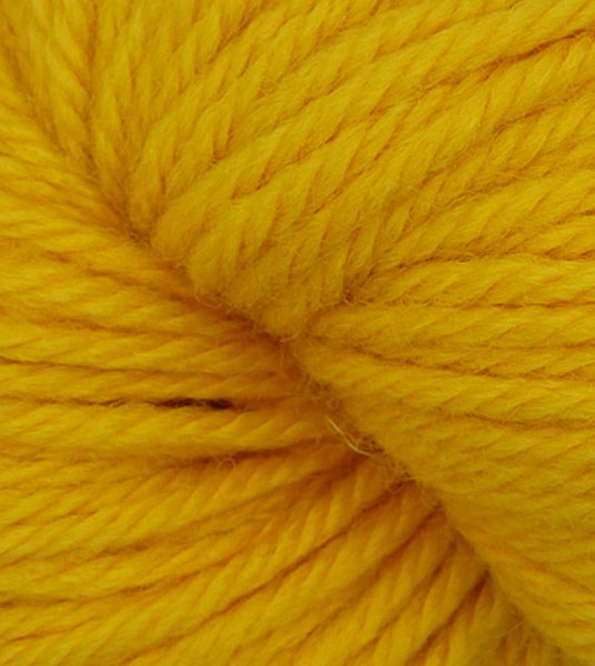 Q61215-Sunflower-thumb