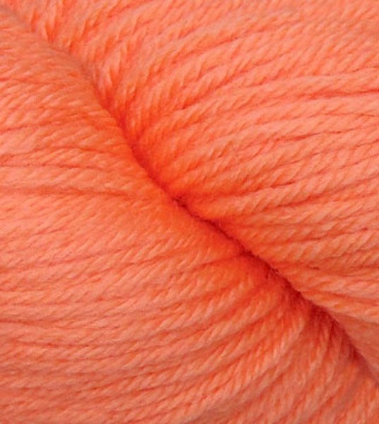 Q61257-Apricot-thumb