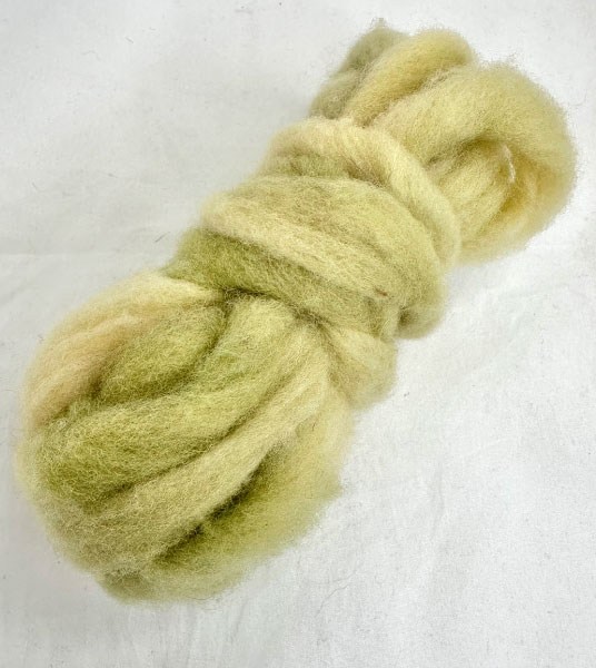 Roving Wool - Light Green Variegated