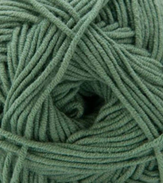 Sarasota Solids - Ivy