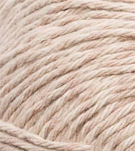 Allino Camel